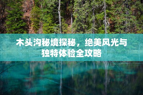 木头沟秘境探秘，绝美风光与独特体验全攻略