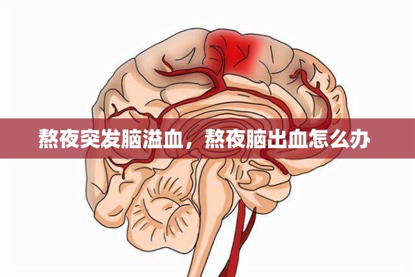 血型 第6页
