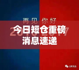 今日短仓重磅消息速递