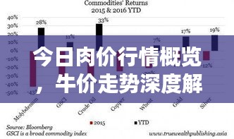 今日肉价行情概览，牛价走势深度解析