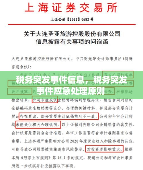 塔罗 第4页