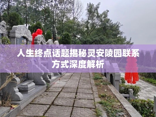 塔罗 第3页