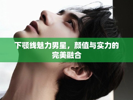 雅人深致