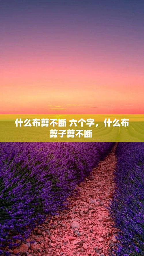 星座 第3页