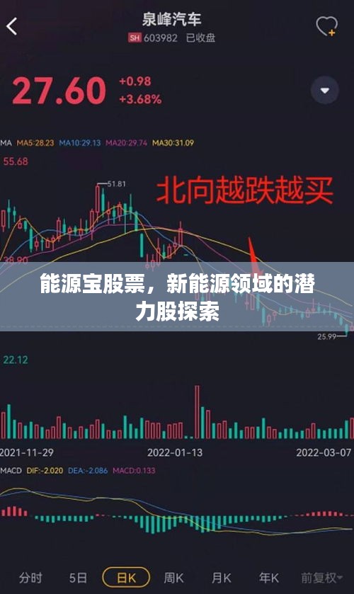 能源宝股票，新能源领域的潜力股探索
