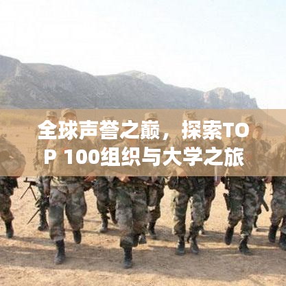 全球声誉之巅，探索TOP 100组织与大学之旅