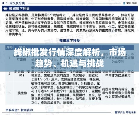 解签 第2页