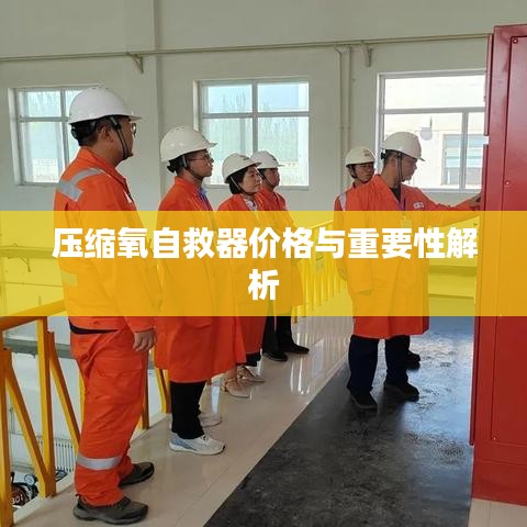 压缩氧自救器价格与重要性解析