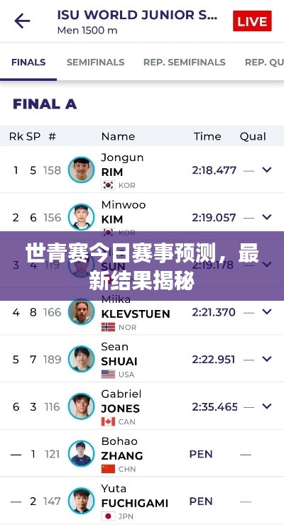 塔罗