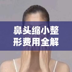 鼻头缩小整形费用全解析，如何选择合适的方式并了解价格？
