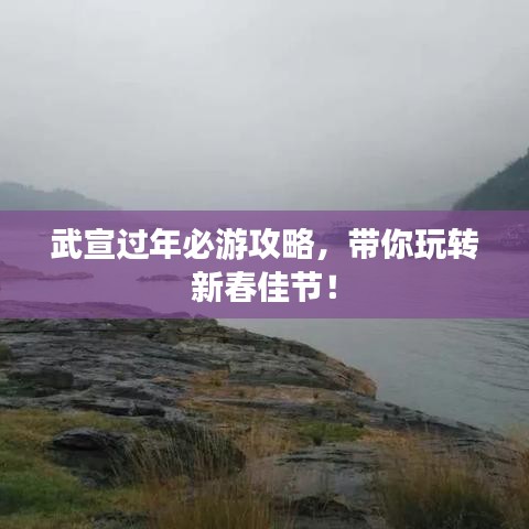 飞鸟依人