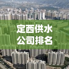 定西供水公司排名及行业影响力深度解析