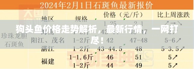 2025年5月18日