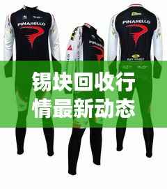 锡块回收行情最新动态分析今日更新