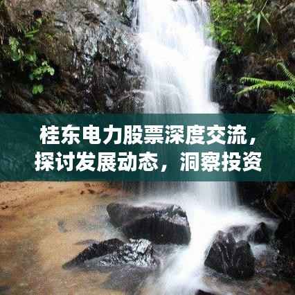 桂东电力股票深度交流,探讨发展动态,洞察投资机遇
