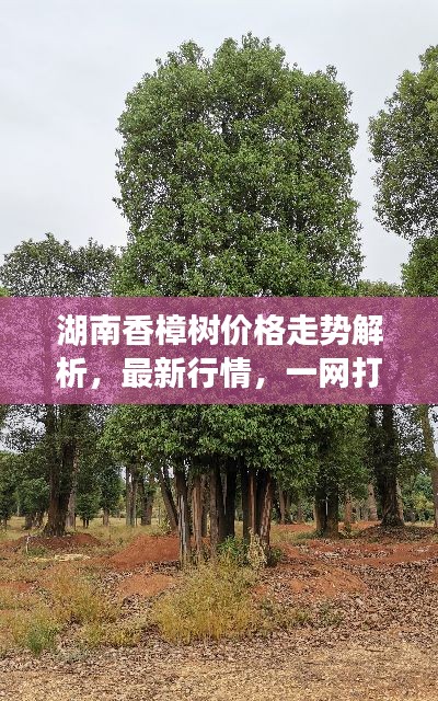 2025年6月16日