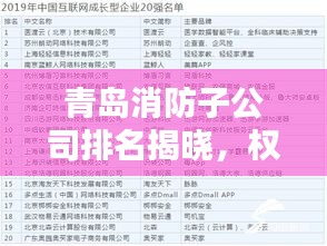 青岛消防子公司排名揭晓，权威榜单，引领安全先锋！