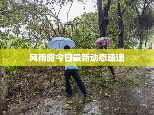 2025年6月25日