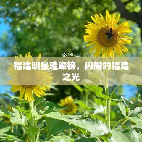 福建明星璀璨榜,闪耀的福建之光